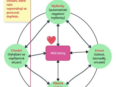 Bludný kruh chování